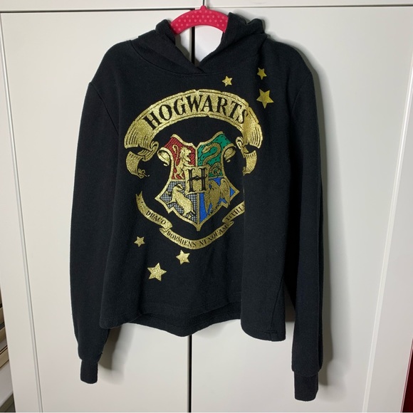 Harry Potter Glittery Hogwarts Crest Hooded Sweatshirt - Picture 1 of 11